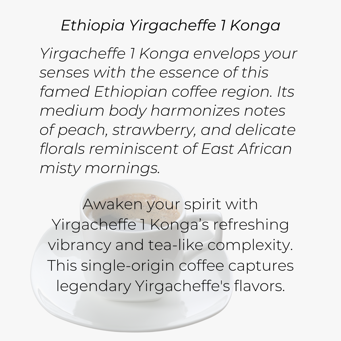 Ethiopia Yirgacheffe 1 Konga