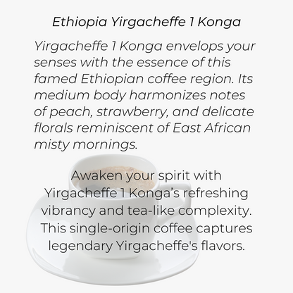 Ethiopia Yirgacheffe 1 Konga