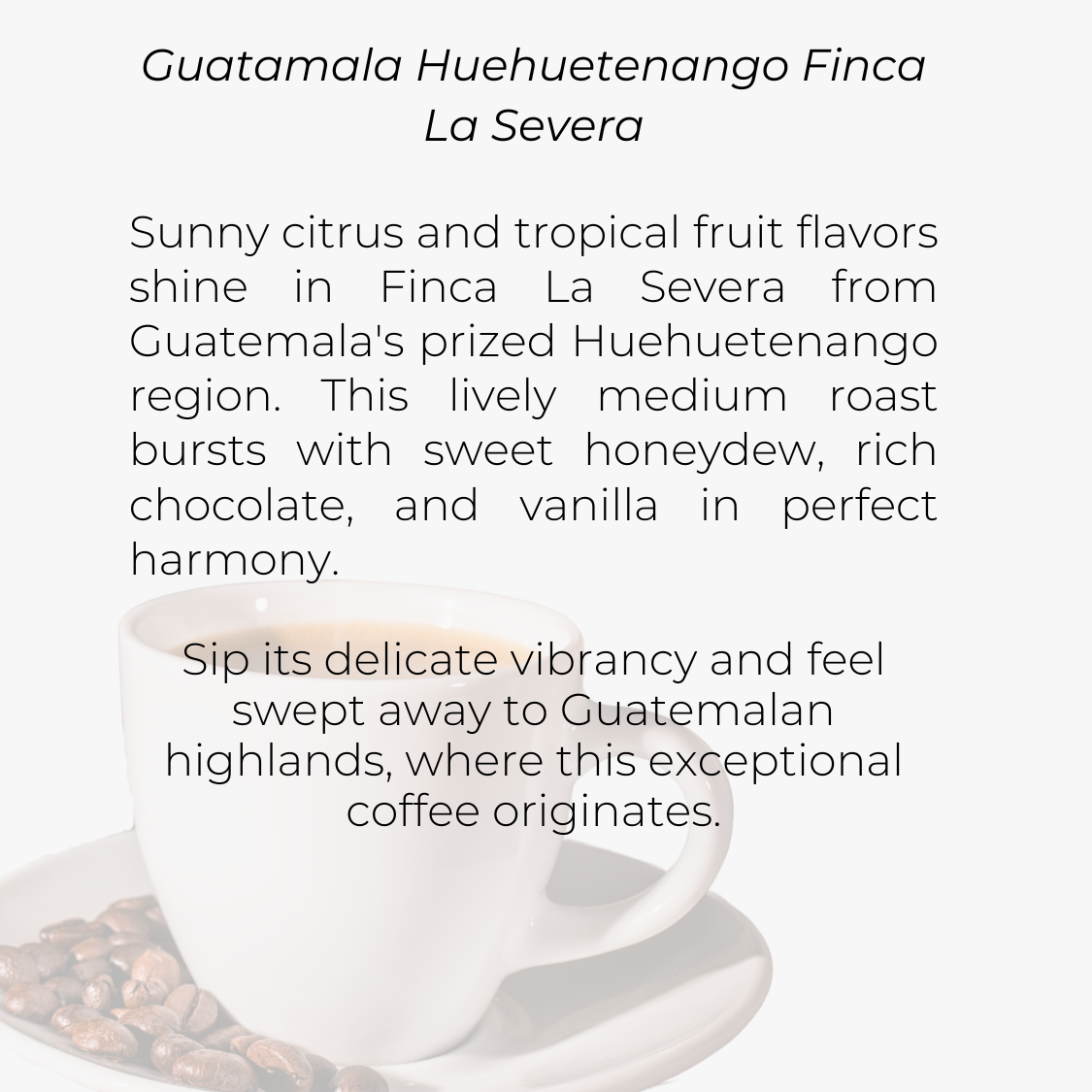 Guatamala Huehuetenango Finca La Severa